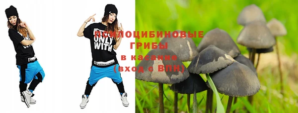 jwh Бородино