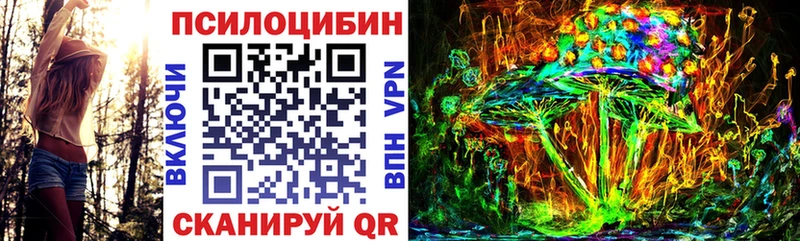 Купить закладки  Туапсе  Псилоцибиновые грибы Psilocybine cubensis 